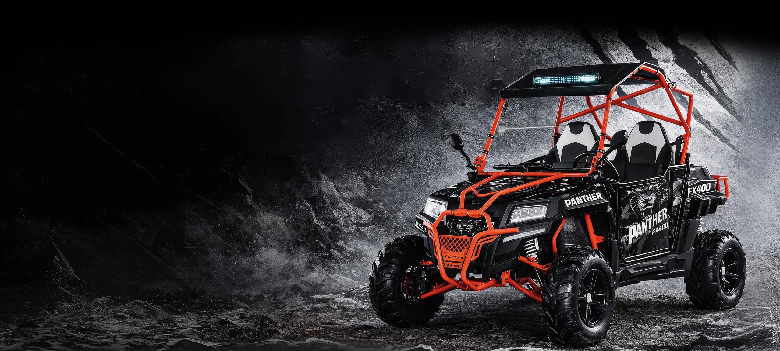 BUGGY PANTHER FX400